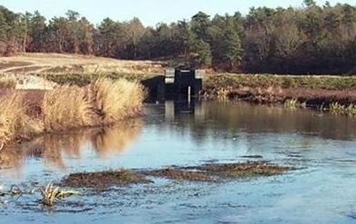 Quashnet River in Cape Cod, MA [Photo Credit: USGS]