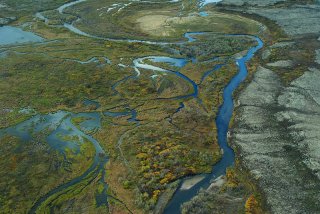 Aerial view of braided wetlands in Bristol Bay's Kvichak River watershed.