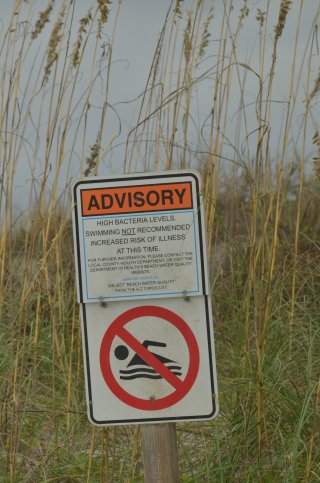 Advisory sign near beach. Text: "High Bacteria Levels. Swimming not recommended. Increased risk of illness at this time."