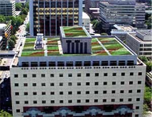 Portland Eco-Roof