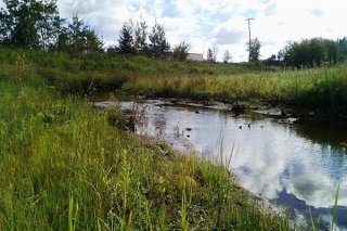 Summer 2014: Restored site with flowing creek and open water.