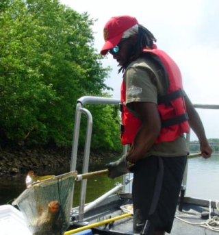 Field worker holds a fish in a net that will be used for a fish tissue study.