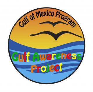 Gulf Awareness Patch