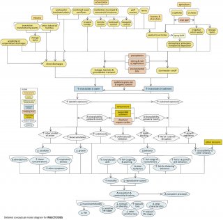 Insecticides -  detailed conceptual diagram.