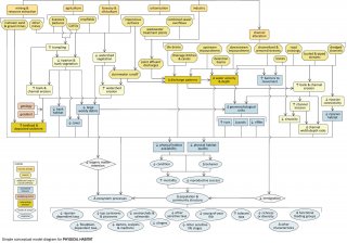 Snapshot of a detailed conceptual model diagram for physical habitat.