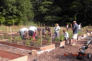 Fulton Farm - A Youth Engaged Public-Private Project