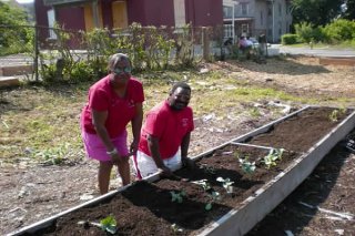 Burton Street Community Garden After Environmental Reclamation