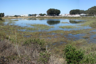 Marshlands