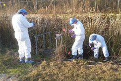 Researchers conducting sampling at the Tulane National Primate Research Center