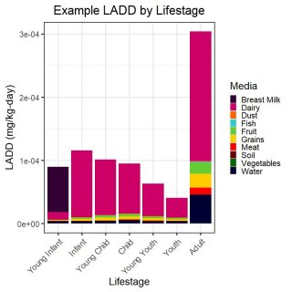 This chart illustrates the lifetime average daily dose of media across lifestages.