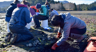 A group of citizen scientists taking a soil sample in Alaska