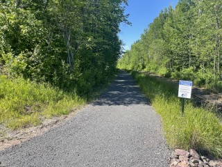 View of the pedestrian trail with native plant restoration.