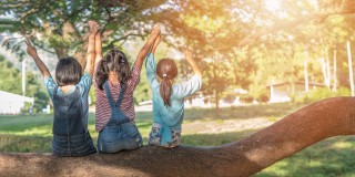 Three children sitting on a branch