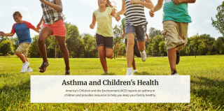 Asthma and Children's Health StoryMap Cover