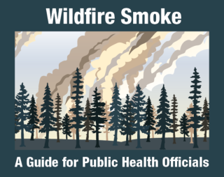 "Wildfire Smoke: A Guide for Public Health Officials." Green box with forest under billowing smoke