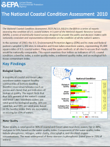 Click to view and download the NCCA 2010 Factsheet