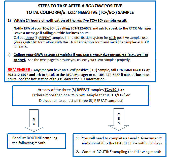 Steps to take after a Routine Total Coliform Positive Sample