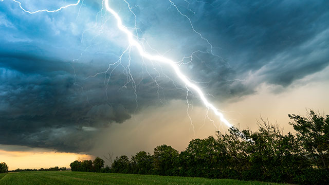 Lightening striking trees.