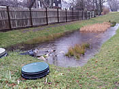 Hyannis - 1.71 in Storm [02/11/2016]