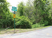 Before Site Clearing [06/03/2015]