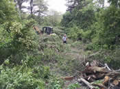 Beginning of Clearing at Chatham BMP Site in May 2015 Beginning of Clearing at Chatham BMP Site in May 2015