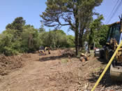 Clearing of Chatham Site as of June 2015 Clearing of Chatham Site as of June 2015