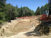 Chatham Site – Net Cut Out in June 24, 2015 Chatham Site – Net Cut Out in June 24, 2015