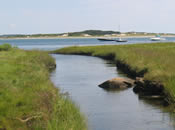 Cockeast Pond (Photo Credit - Buzzards Bay National Estuary Program) Cockeast Pond (Photo Credit - Buzzards Bay National Estuary Program)
