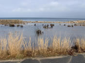 During the Noreaster in 2007 at the Gardner Road Seawall (Photo Credit - Buzzards Bay National Estuary Program) During the Noreaster in 2007 at the Gardner Road Seawall (Photo Credit - Buzzards Bay National Estuary Program)