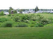 Island Wharf Biofilter Funded by Buzzards Bay, NEP and Coastal Zone Management (Photo Credit - Buzzards Bay National Estuary Program) Island Wharf Biofilter Funded by Buzzards Bay, NEP and Coastal Zone Management (Photo Credit - Buzzards Bay National Estuary Program)