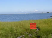 No Shellfishing Sign (Photo Credit - Buzzards Bay National Estuary Program) No Shellfishing Sign (Photo Credit - Buzzards Bay National Estuary Program)