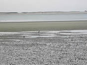 Barnstable Harbor, Cape Cod (Photo Credit - Cape Cod Commission) Barnstable Harbor, Cape Cod (Photo Credit - Cape Cod Commission)