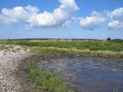 Ram Island (Photo Credit - Buzzards Bay National Estuary Program) Ram Island (Photo Credit - Buzzards Bay National Estuary Program)