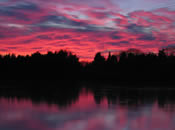 Sunset at Sippewissett Marsh (Photo Credit - Buzzards Bay National Estuary Program) Sunset at Sippewissett Marsh (Photo Credit - Buzzards Bay National Estuary Program)