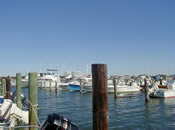 Westport Harbor Boats (Photo Credit - Buzzards Bay National Estuary Program) Westport Harbor Boats (Photo Credit - Buzzards Bay National Estuary Program)
