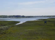 Wild Harbor (Photo Credit - Buzzards Bay National Estuary Program) Wild Harbor (Photo Credit - Buzzards Bay National Estuary Program)