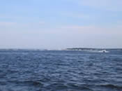 Narragansett Bay with Providence in the Background (Photo Credit - Save the Bay) Narragansett Bay with Providence in the Background (Photo Credit - Save the Bay)
