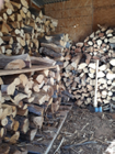 a seasoned woodpile