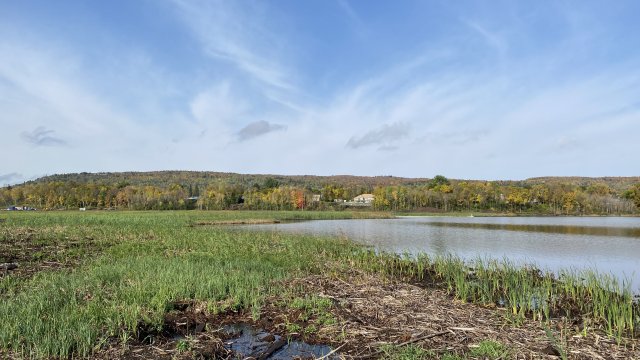 View of the Shallow Sheltered Bay and Spirit Lake shoreline looking north.