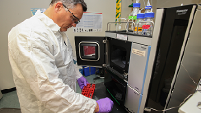 A scientist preparing an assay for testing