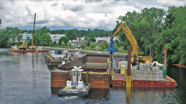 Cleanup along the Lower Neponset River