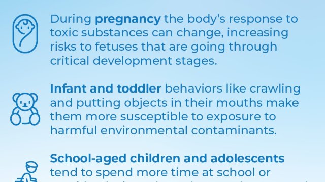 From pregnancy through adulthood 