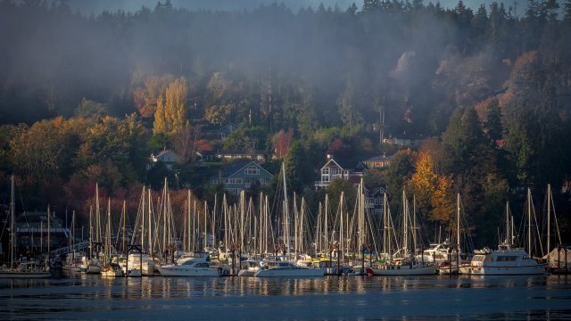 picture of harbor with boats