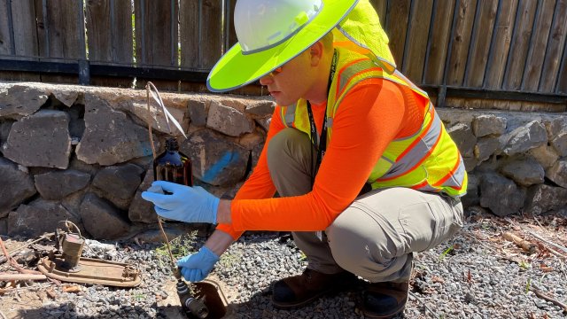 Worker in high visibility vest crouching next to a drinking water access panel taking a water sample.