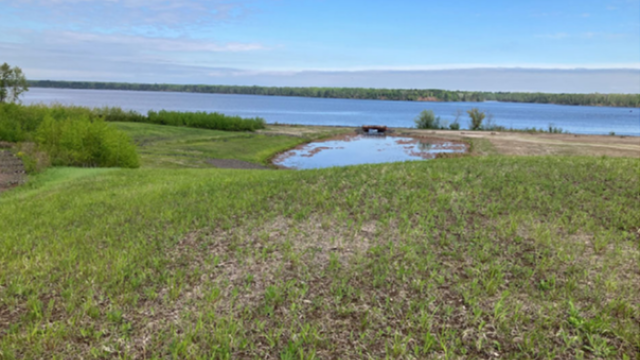 View of vegetation growth at Wire Mill Pond. 