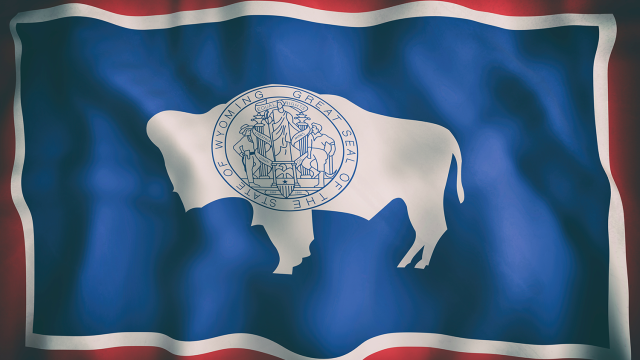 Illusration of the Wyoming state flag fearuring a bison and the state seal. Adobe Stock file.