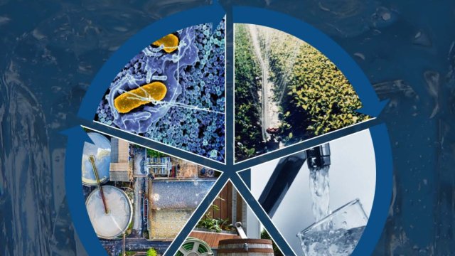 Cover image of Framework for Developing Microbial Treatment Targets! 