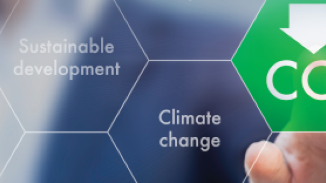 Climate change, carbon dioxide