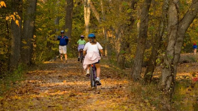 People biking away on a nature trail