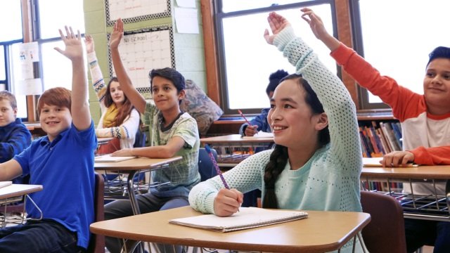 Students raising hands in class